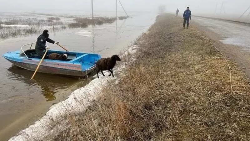 Режим ЧС введен в Уральске и нескольких районах ЗКО