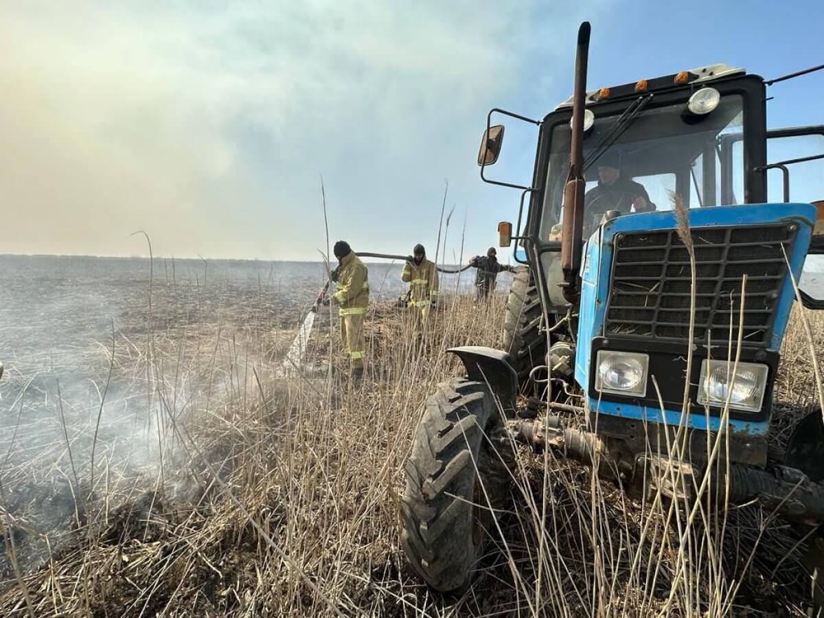 Атырау облысында бес күнге созылған қамыс өрті сөндірілді