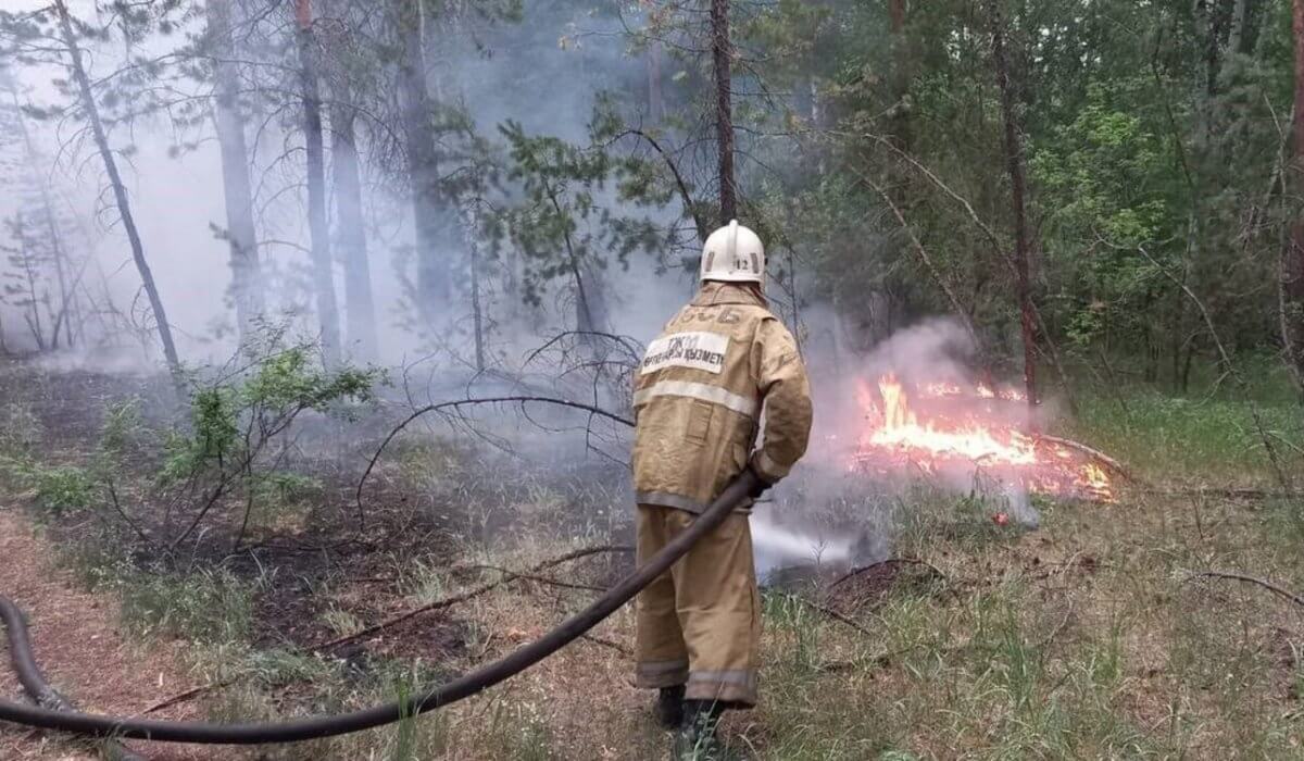 Екпінді желге байланысты өрттің таралу қаупі бар – ТЖМ