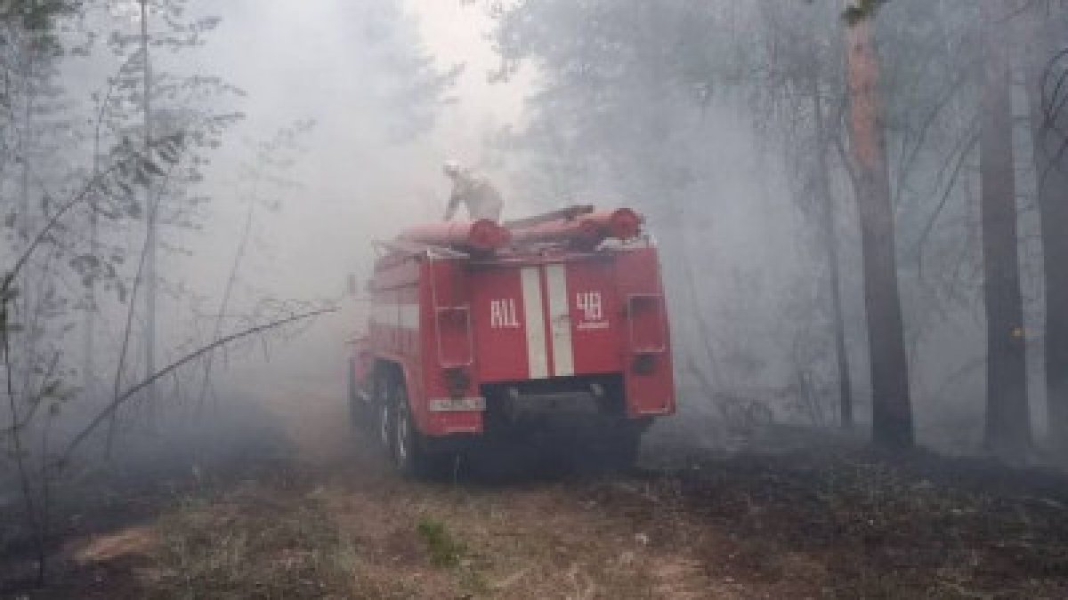 День траура: телеграммы соболезнования поступают в Акорду