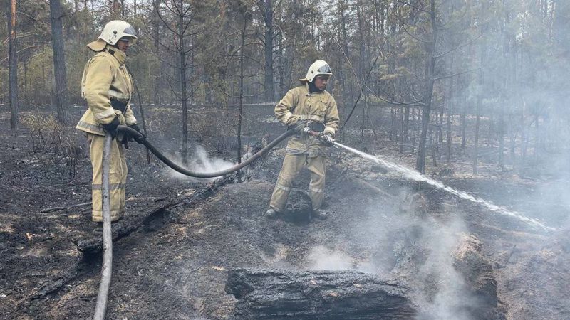 Процесс тушения пожара в Абайской области может затянуться на месяц