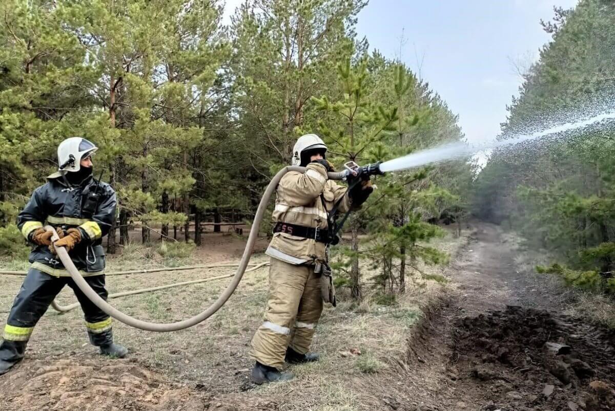 Орман өртін сөндірушілерге 1 млрд теңгеге жуық ақша беріледі