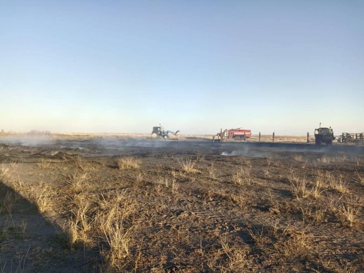 Абай облысында сіріңкемен ойнаған балалар 82 тонна шөпті өртеп жіберді