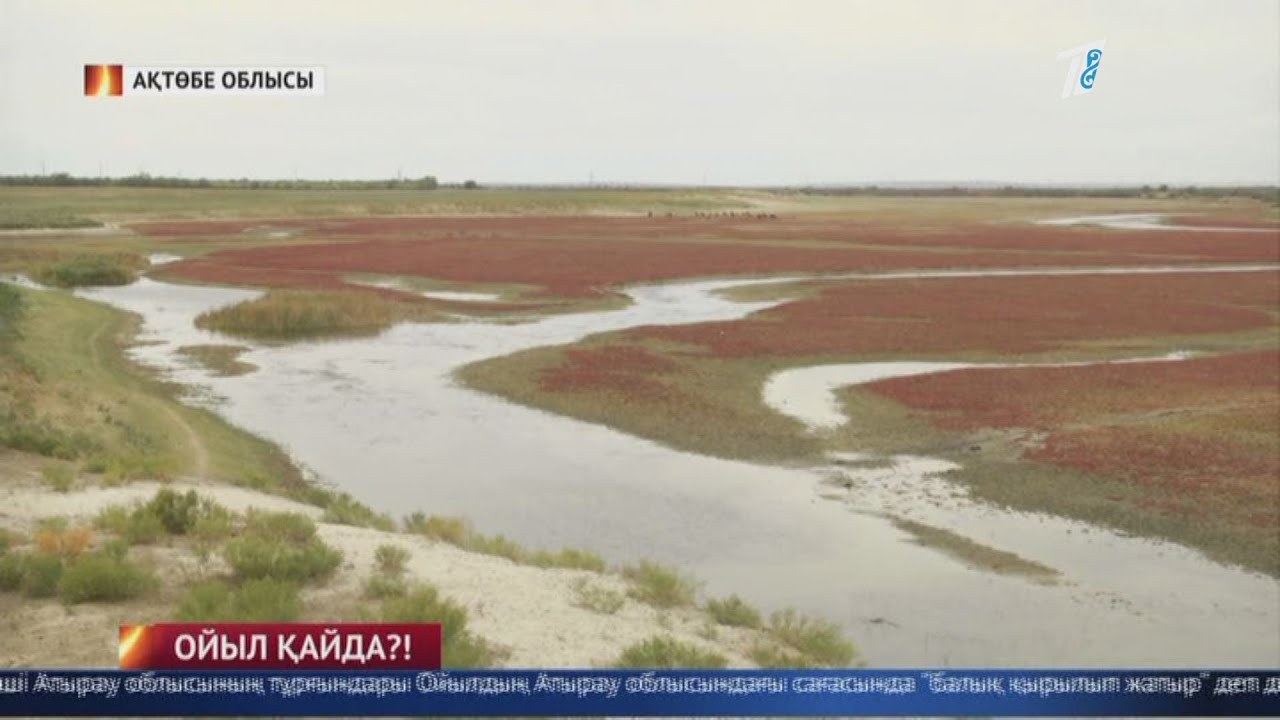 Одна из самых длинных рек страны Уил на грани исчезновения 