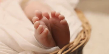 Сәбилерді шетелге сатқан сегіз дәрігер сотталатын болды