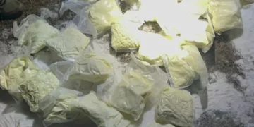 Алматы облысының тұрғынынан 24 келіден астам мефедрон табылды
