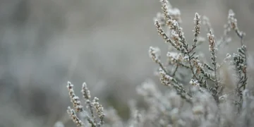 Қатты жауын-шашын: алдағы күндері ауа райы қандай болады