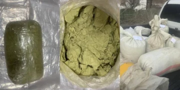 Жамбыл облысында ірі көлемдегі есірткі арнасы әшкереленді