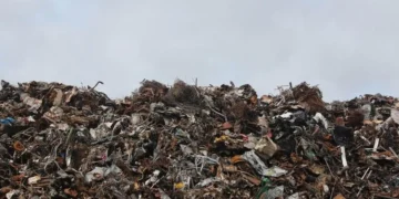 Полигон стоимостью 700 млн тенге в Кызылорде вернули государству