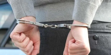 Подозреваемого в педофилии экстрадировали из России в Казахстан