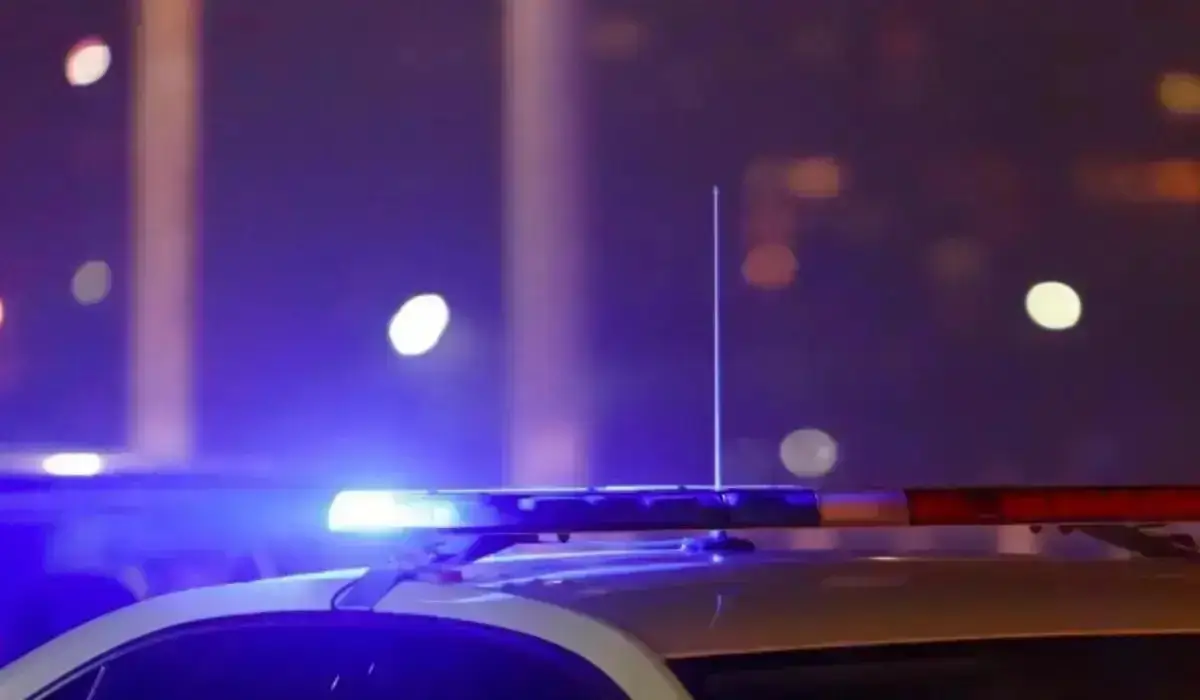 Павлодар облысында 22 шетел азаматы заңсыз жұмыс істеп жүрген жерінен ұсталды