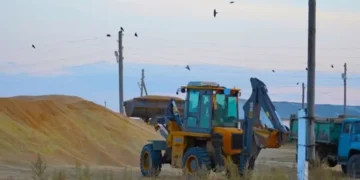 Қостанай облысында 54 тонна астық ұрланған: жүк көлігі жолда ұсталды