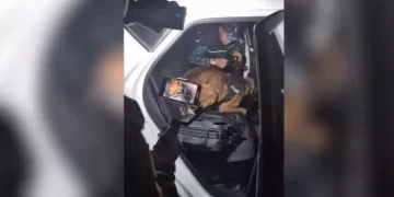 Астанада қызметтік ит жүргізушінің шұлығынан есірткі тауып алды