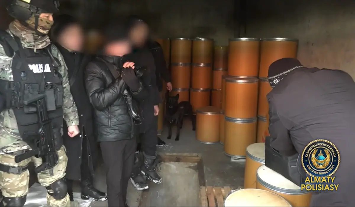 Алматыда үш қылмыстық топ қолға түсті: олардан жарты тоннадан астам есірткі тәркіленді