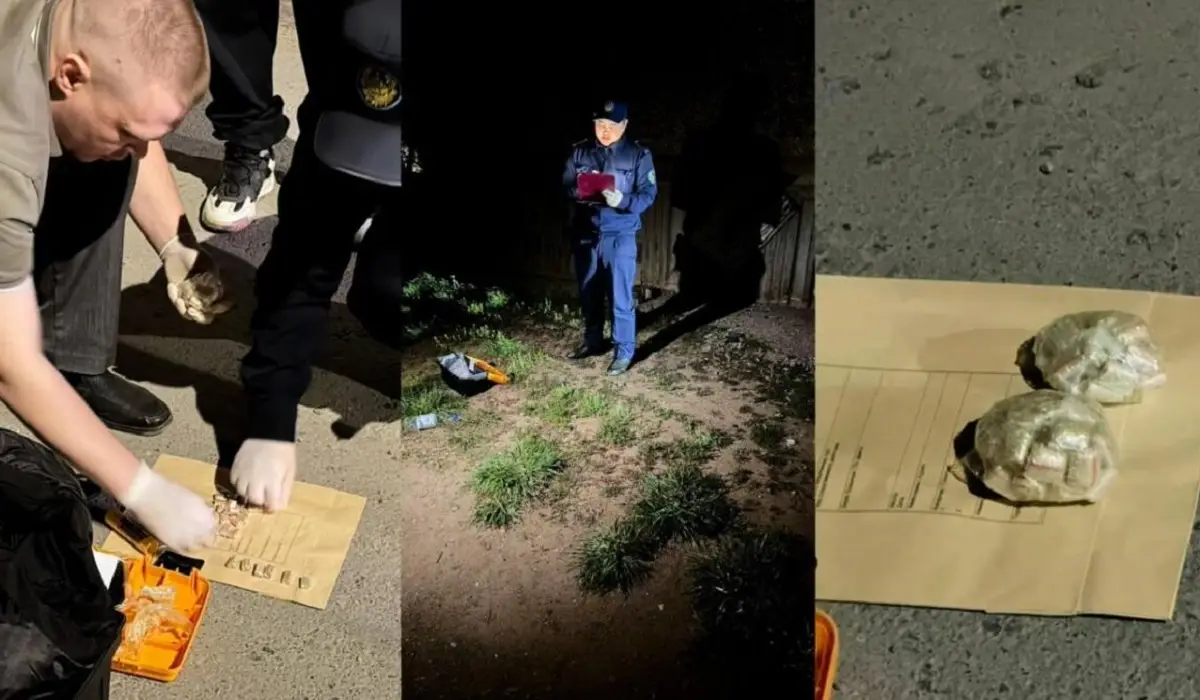 Павлодар облысының тұрғынынан ірі көлемде мефедрон табылды