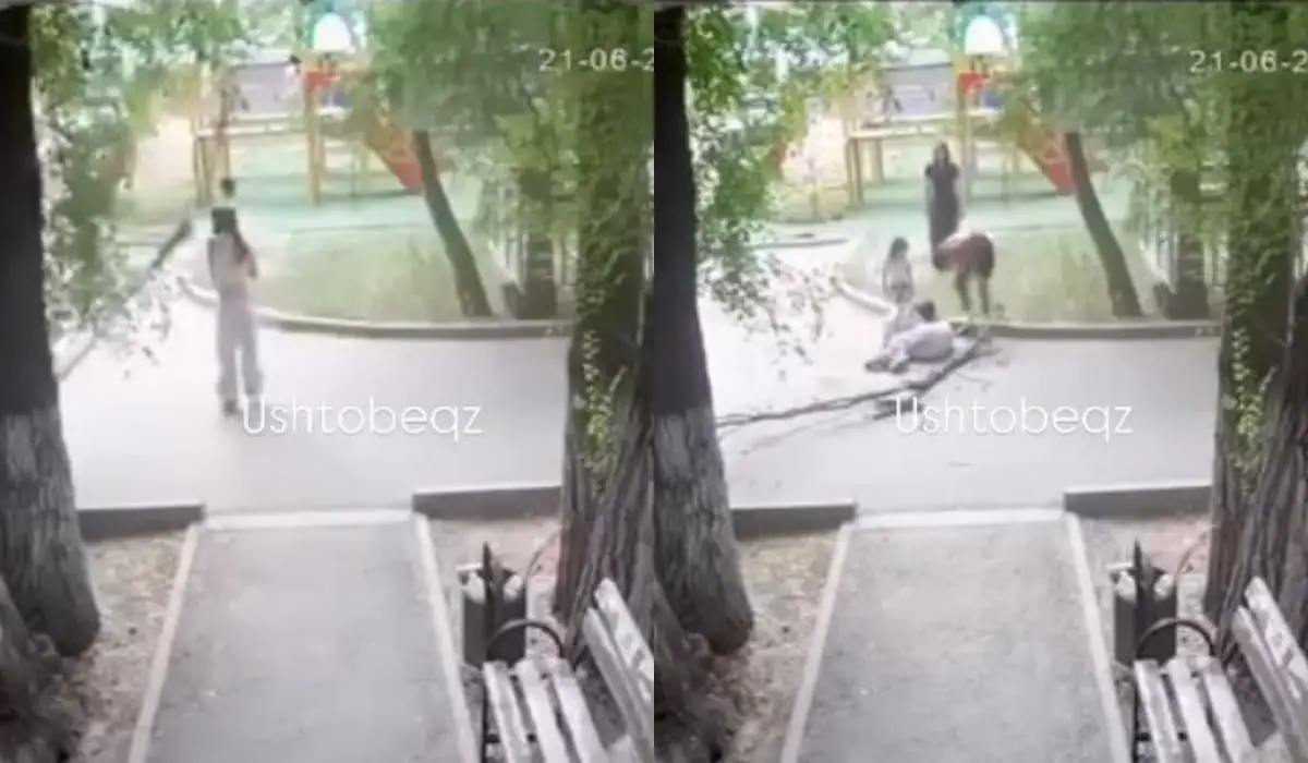 Ветка дерева упала на девушку в Уштобе: начата проверка