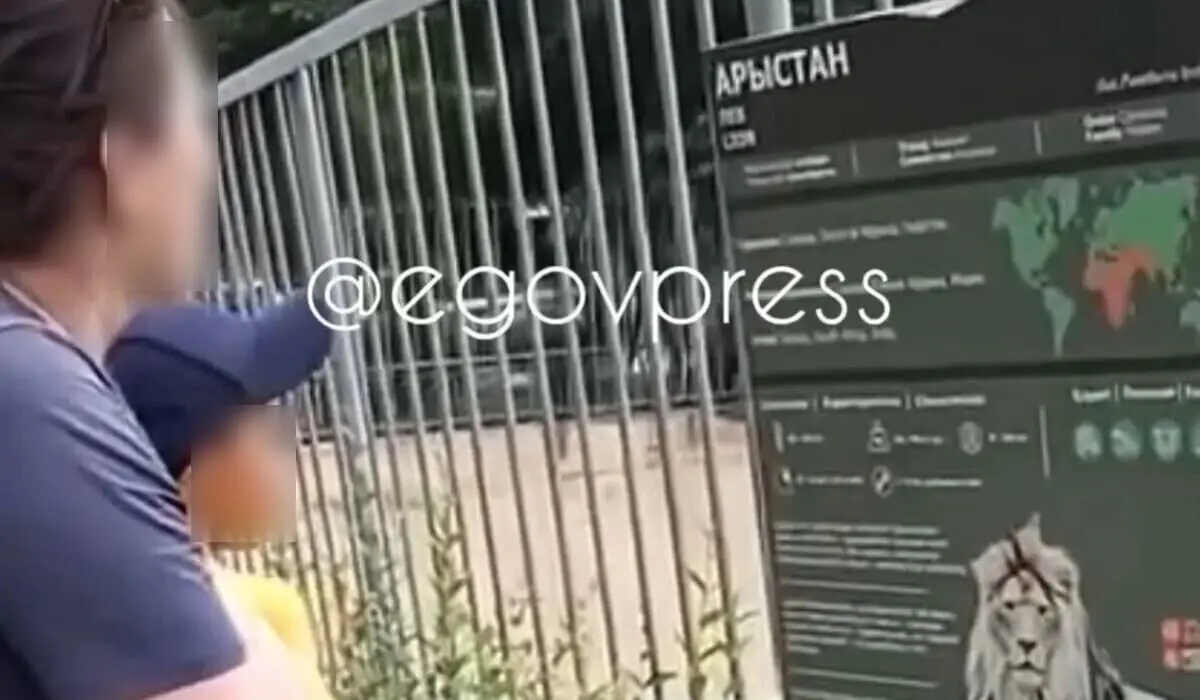 Женщина бросала камни во львов при детях в зоопарке Алматы