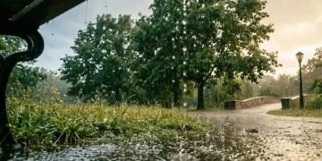 Аптаптан кейін жаңбыр: Қазақстанның көп өңірінде ауа райы құбылады