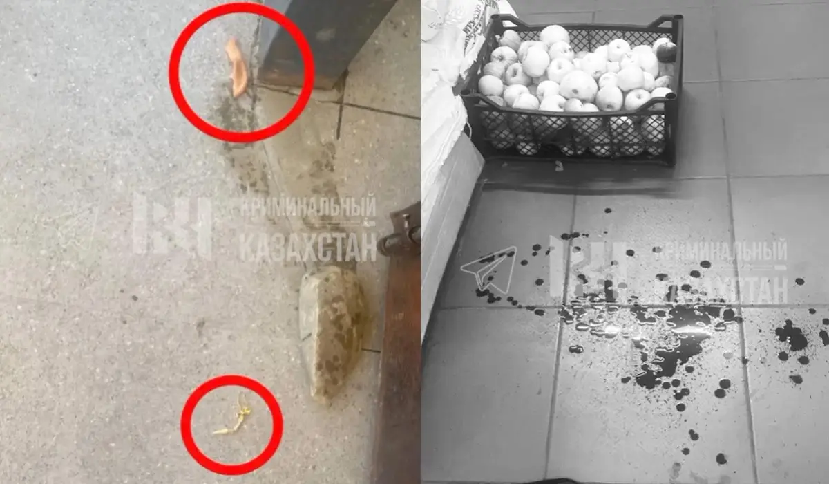 В Восточно-Казахстанской области мужчина напал на бывшую супругу с ножом