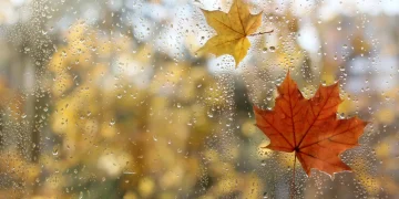 Жаңбыр, қар және қатты жел: 5 қазанда ауа райы қандай болады