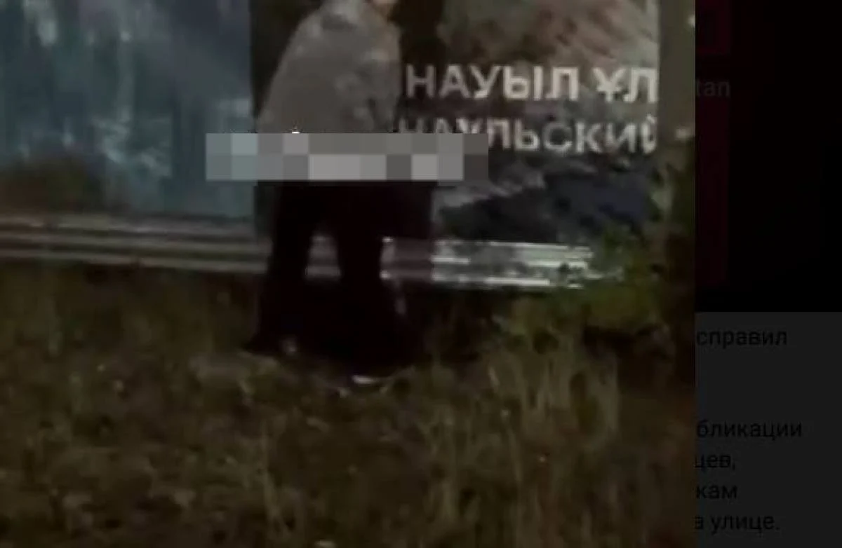 В Астане мужчина выдавал себя за полицейского и справил нужду на улице