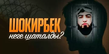 Шокирбек неге шаталды?